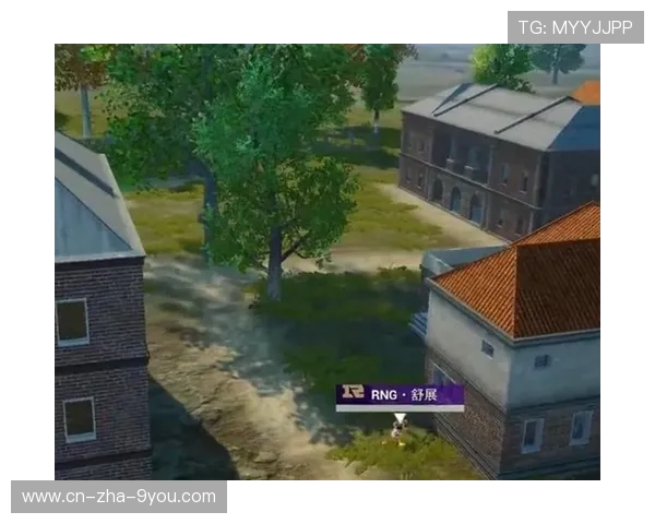 和平精英热议RNG耐力争议背后的真相与影响分析